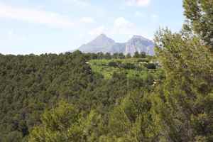 0 bedroom Plot in Altea - &euro;195,000