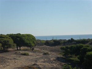 2 bedroom Townhouse in La Mata - &euro;157,000