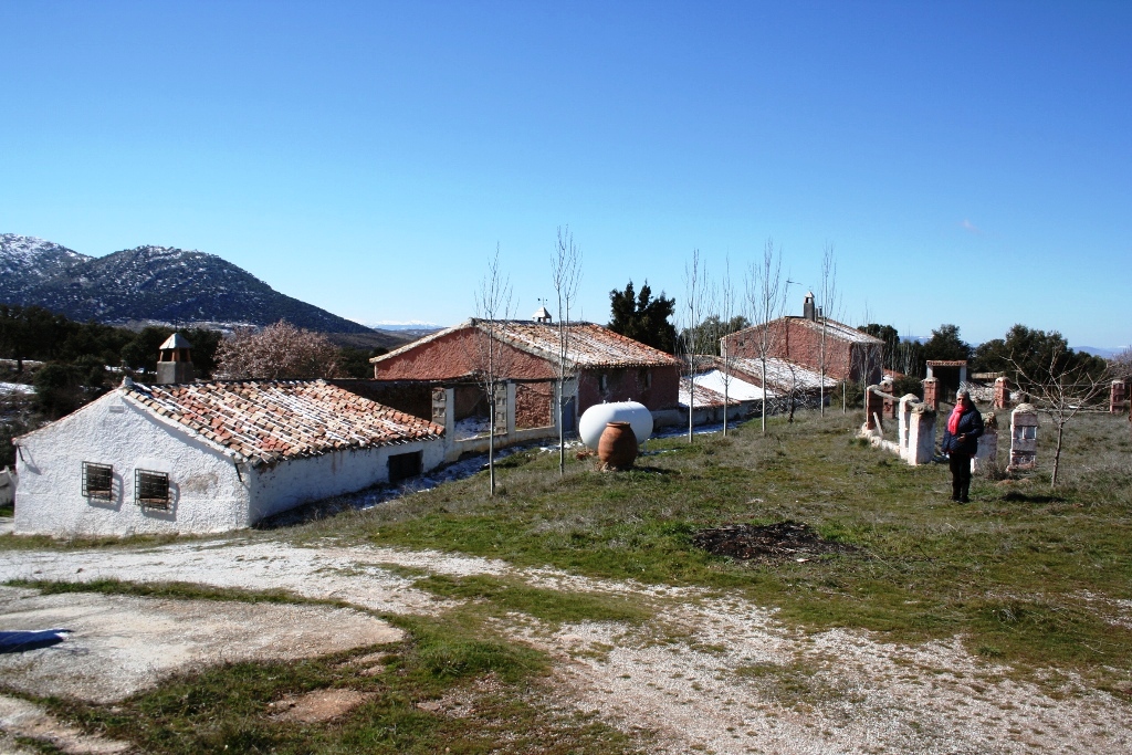 Commercial for sale in Baza