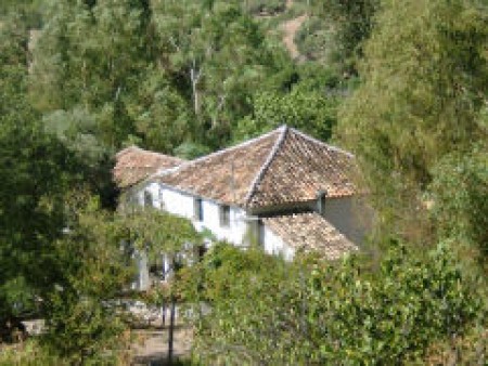 6 Bedroom Finca in Grazalema
