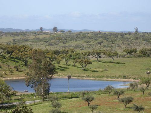 Plot for sale in Aljezur