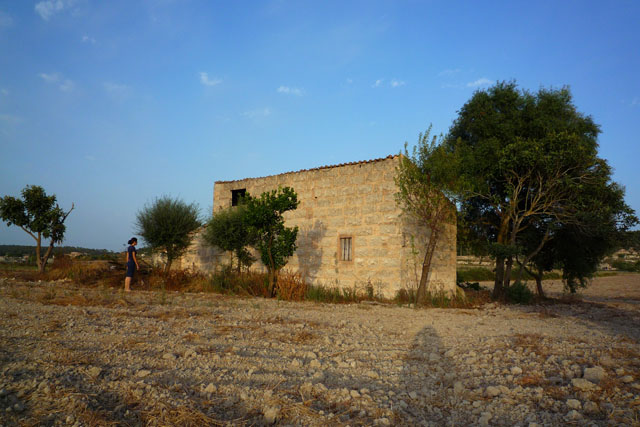 1 Bedroom Finca in Sineu