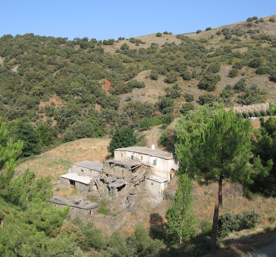 8 bedroom Finca for sale in Berchules